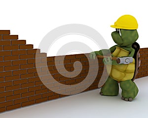 Tortoise building contractor