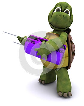 Tortoise with a capacitor