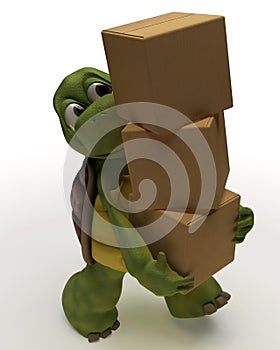 Tortoise Caricature Carrying Packing Carton