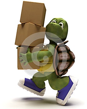 Tortoise Caricature running with packing cartons