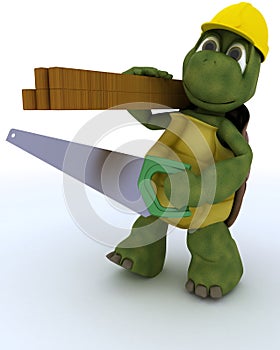 Tortoise carpenter contractor