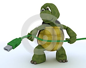 Tortoise with a firewire cable