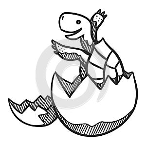 Tortoise hatching icon in sketch style.