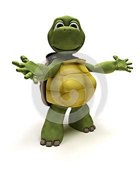 Tortoise in an introduction pose