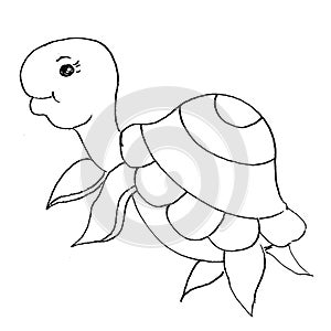 Tortoise isolated on white background,vector illustration, tattoo animal