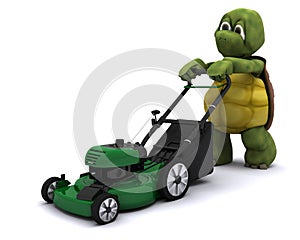 Tortoise with a lawn mower