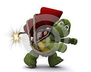 Tortoise lighting a firework
