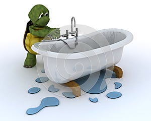 Tortoise plumbing contractor