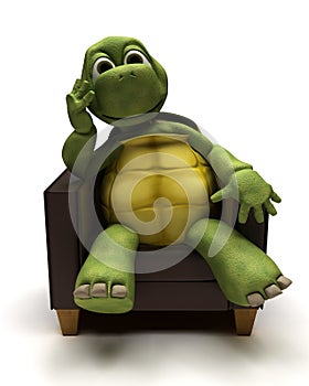 Tortoise relaxing in armchair