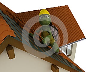 Tortoise roofing contractor