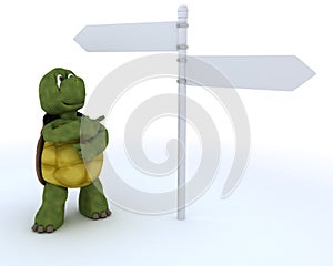 Tortoise with sign post