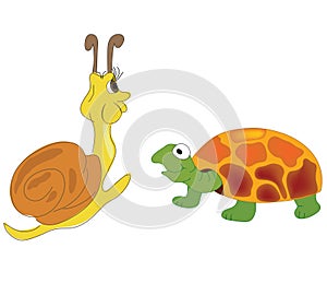 Tortoise and snail