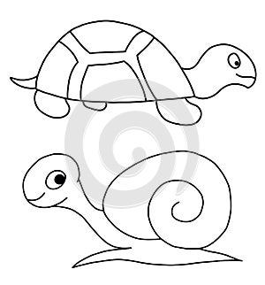 Tortoise and snail