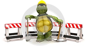 Tortoise with a spade and pick axe