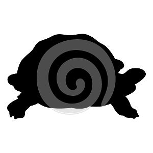 Tortoise split frame monogram EPS vector file