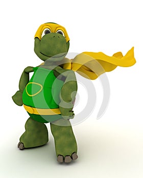 Tortoise superhero