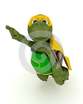 Tortoise superhero photo