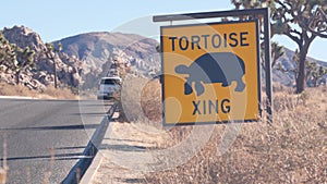 Tortoise or turtle crossing yellow road sign, California USA. Wild animal xing.