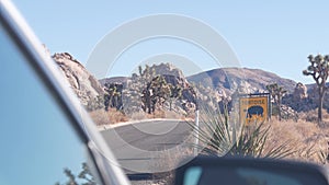 Tortoise or turtle crossing yellow road sign, California USA. Wild animal xing.