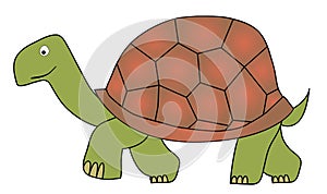 Tortoise