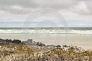 Tortuga Bay Beach, Galapagos, Ecuador