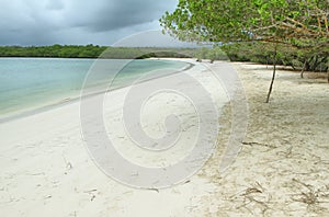 Tortuga Bay, Santa Cruz, Galapagos