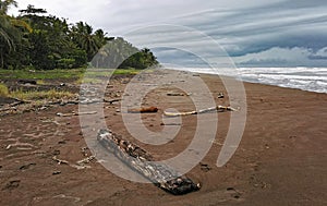 Tortuguero beach landscape. Limon, Costa Rica.