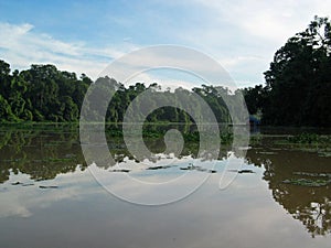 Tortuguero photo