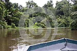 Tortuguero photo