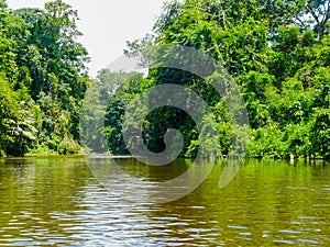 Tortuguero National Park