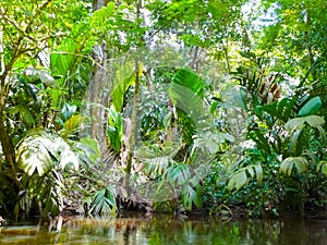 Tortuguero National Park