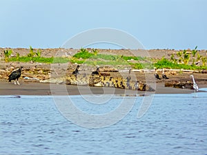 Tortuguero National Park