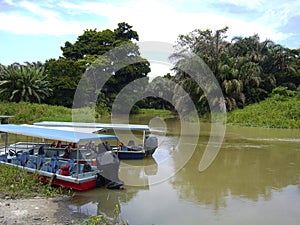 Tortuguero National Park