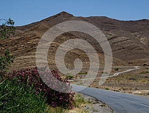 Tortuous endless road