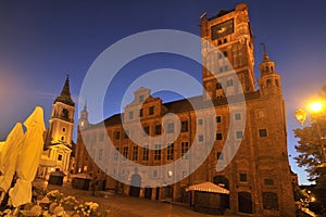 Toru?'s Gothic town hall at night