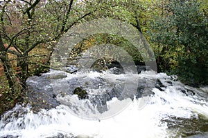 Waterfall at Moor Gill, Torver Back Common