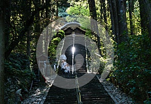 O-henro pilgrims climbing the steep stairs leading to the main hall of Shoryuji,