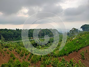 Tosari, bromo east java