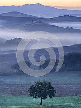 Toscana, Italy, morning, fog, sunset, relaxe, nature, ecology, travel