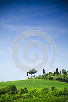 Toscana landscape