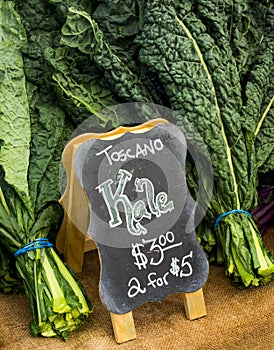 Toscano Kale