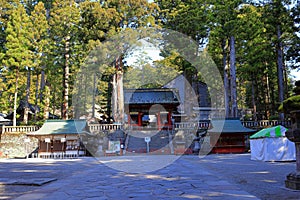 Toshogu Shrine ( 17th-century shrine honoring the first shogun and featuring colorful buildings)