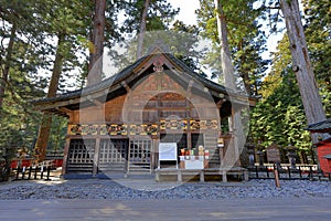 Toshogu Shrine ( 17th-century shrine honoring the first shogun and featuring colorful buildings)