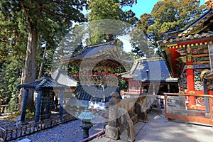 Toshogu Shrine ( 17th-century shrine honoring the first shogun and featuring colorful buildings)