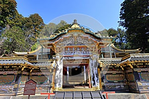 Toshogu Shrine ( 17th-century shrine honoring the first shogun and featuring colorful buildings)