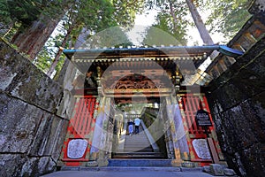 Toshogu Shrine ( 17th-century shrine honoring the first shogun and featuring colorful buildings)