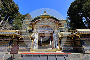 Toshogu Shrine ( 17th-century shrine honoring the first shogun and featuring colorful buildings)