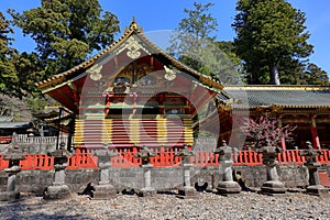 Toshogu Shrine ( 17th-century shrine honoring the first shogun and featuring colorful buildings)