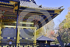 Toshogu Shrine in Ueno Park, Tokyo