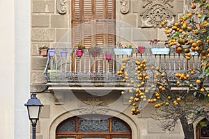 Tossa de Mar picturesque colorful balcony and building facade. Girona